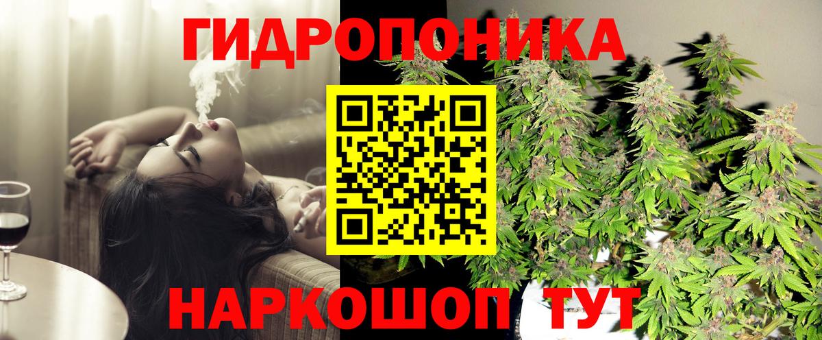 Конопля Ganja  Вход с VPN  МАРИХУАНА гибрид  Чайковский  МАРИХУАНА план  Каннабис ГИДРОПОН 